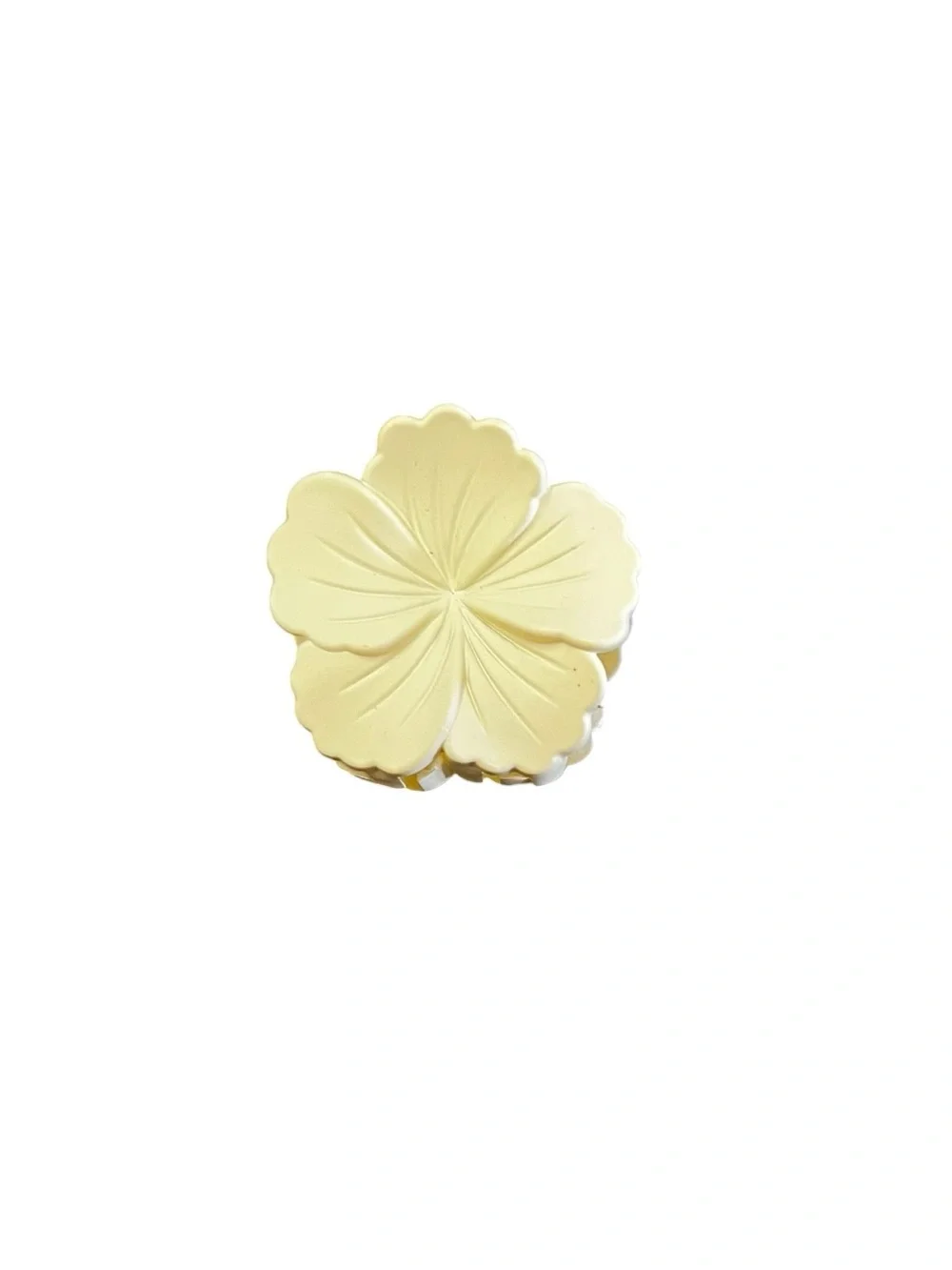 Cream Hibiscus Matte Mini Floral Flower Matte 1.5